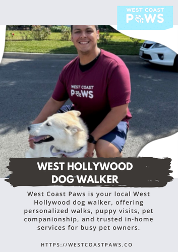 west hollywood dog walker.png