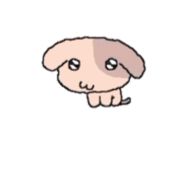 mmexport1784645577883.gif