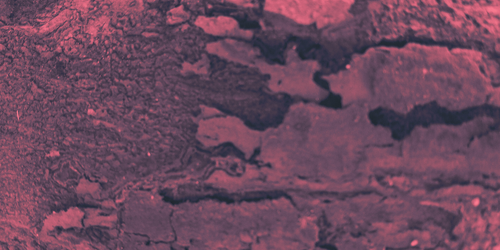 temp.png