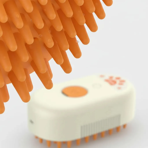 44243123a813.png