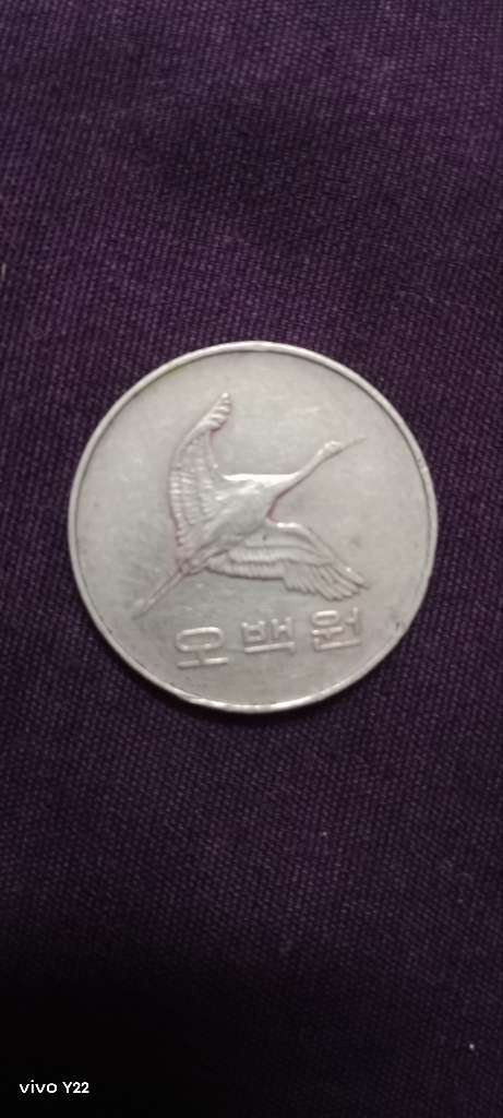 964f8bc42c05.jpg