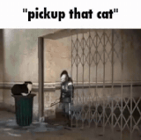 2d90c6bd94cf.gif