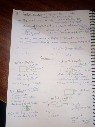 40f8d2b5699f.jpg