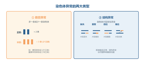 6844f6e4aed8.png