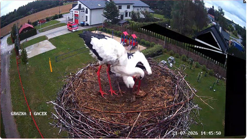 MWSnap888.jpg