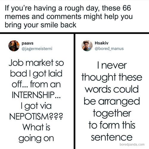 random funny memes houseoflmao.jpg