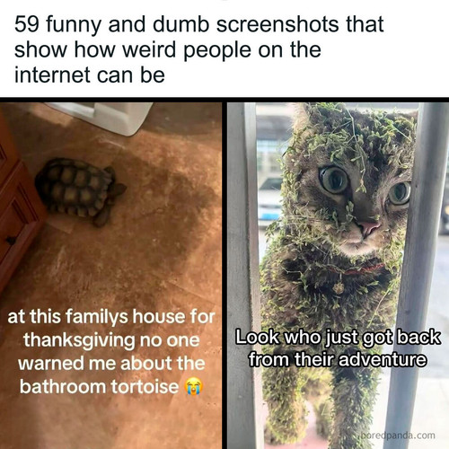 funny things.jpg