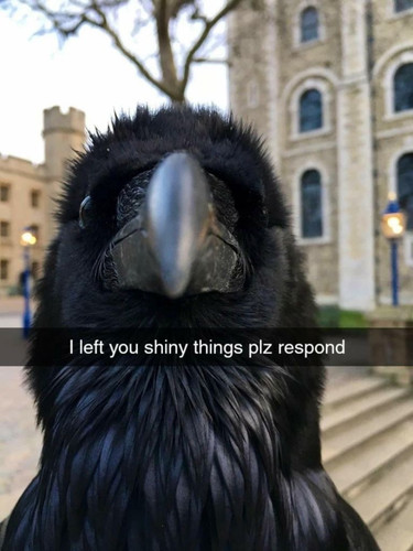 ;lj.jpg
