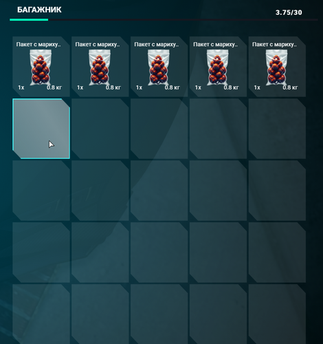 FiveM b3258 GTAProcess fyovayAqJB.png
