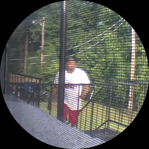 image.jpg