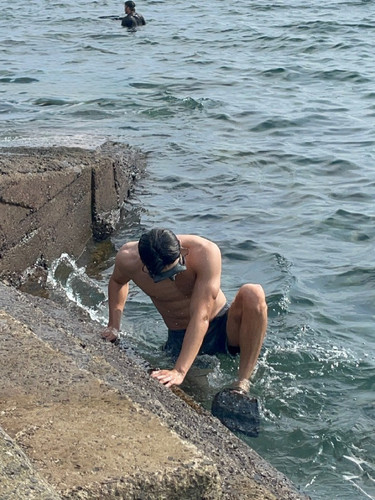 005M9ih3gy1ifdw445qm6j31j621kx50.jpg