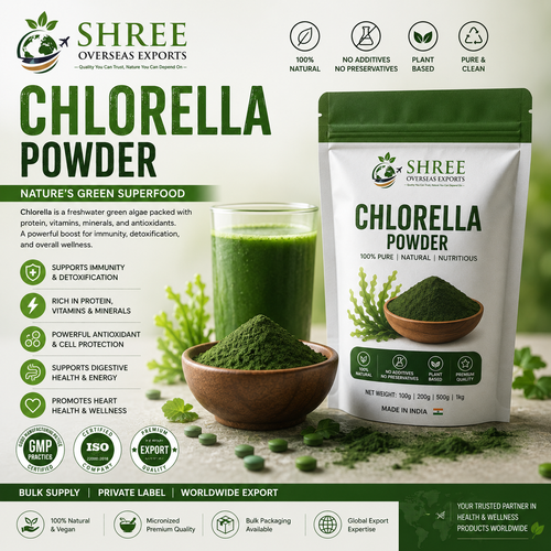 Organic Chlorella Powder Supplier Premium Bulk & Wholesale Solutions for Global B2B Buyers.png