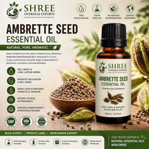 Ambrette Seed Essential Oil Exporter Premium Wholesale & Bulk Supply for Global B2B Buyers.png