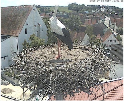 MWSnap157.jpg