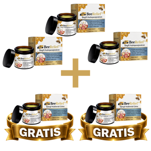 Ontwerp zonder titel 2026 07 22T132347.244.2