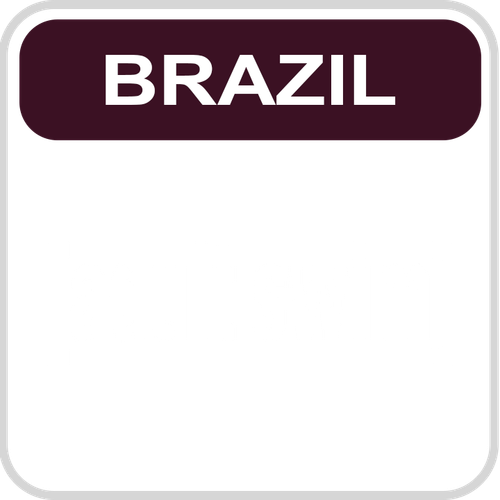 Adult Swim Latin America Brazil.png