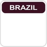 Adult Swim Latin America Brazil