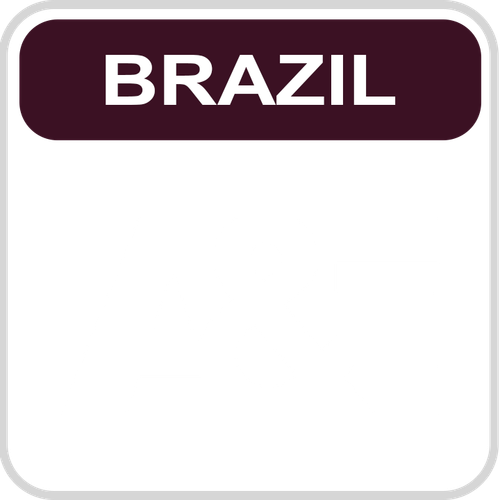 A&E Latin America Brazil.png