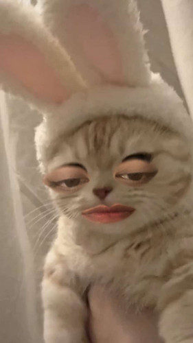 475482139 470245209478376 3751666432541603200 n (1).jpg