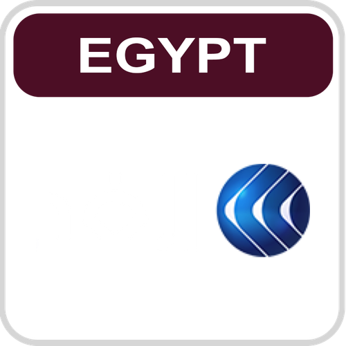 Al Ghad TV.png