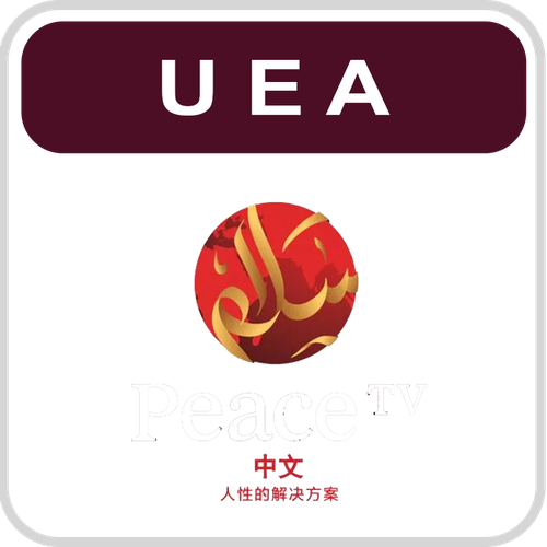 Peace TV Chinese.png