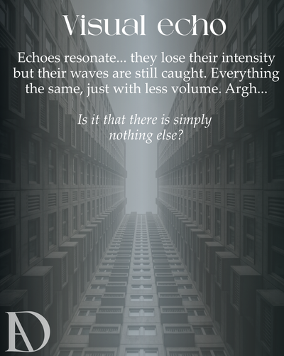 VISUAL ECHO.png