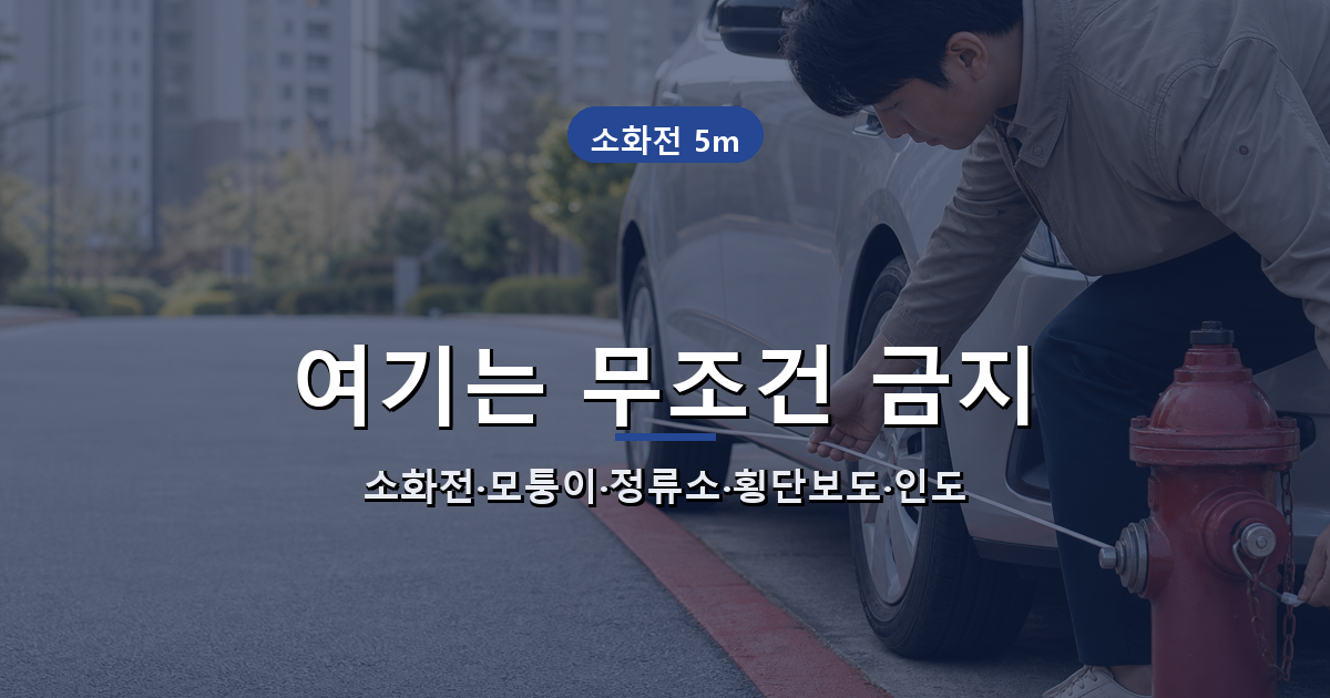 소화전 교차로모퉁이 버스정류소 횡단보도 인도 6대 절대주정차금지구역 안내 배너