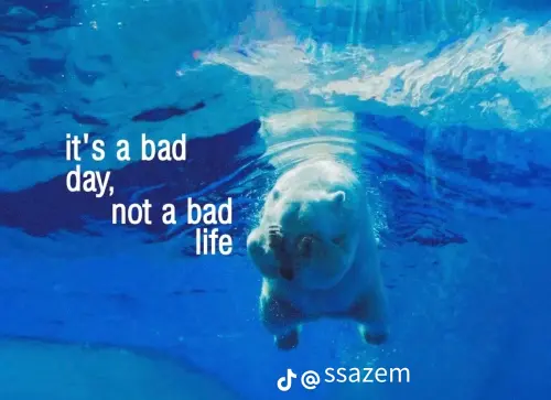 e56ae1ce4cba73e83f8ac56355df6c35.webp