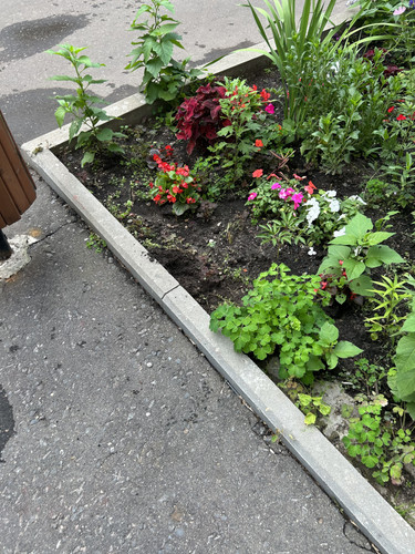 IMG 5928.jpg