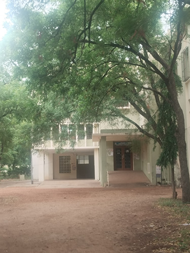 library 4.jpg