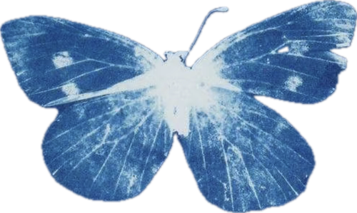%E4%B8%BB%E9%A2%98%20(6).png