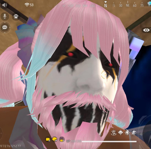image.jpg