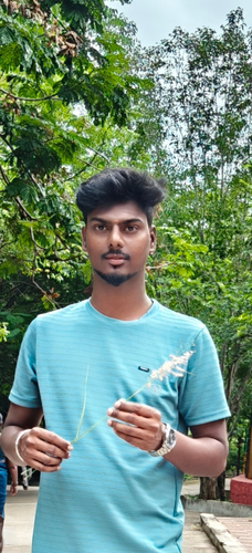 c2f93c0c1f87.png