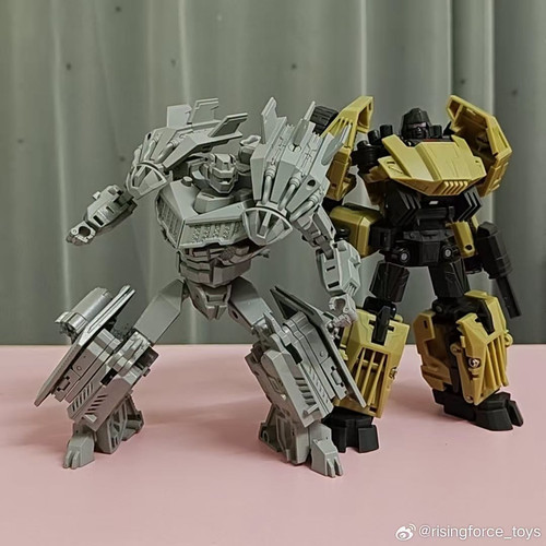 z01.jpg