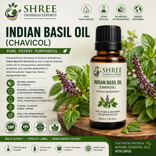 Basil Essential Oil Supplier Premium Pure Basil Essential Oil for Bulk & Wholesale Buyers.png