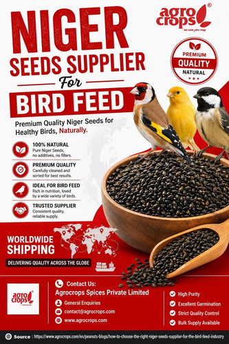 Niger Seeds Supplier For Bird Feed.jpg