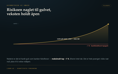 08 risk growth.png