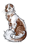 кофекот.png