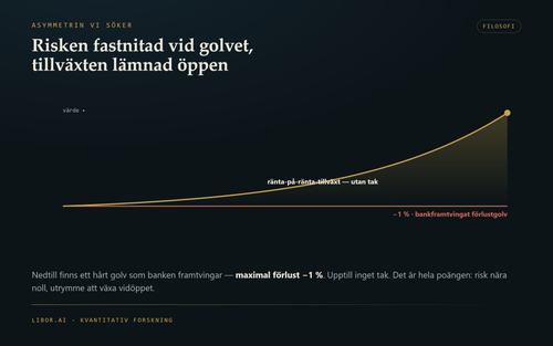 08 risk growth.png