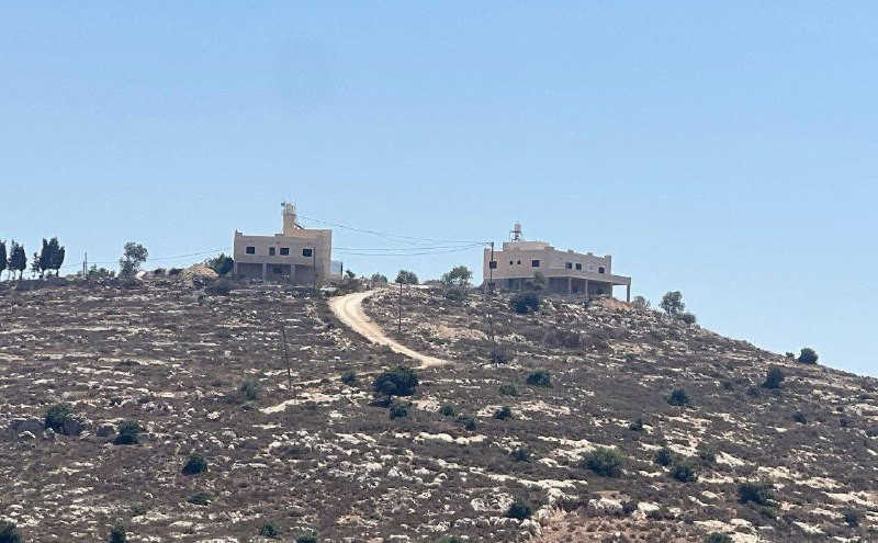 صورة الخبر