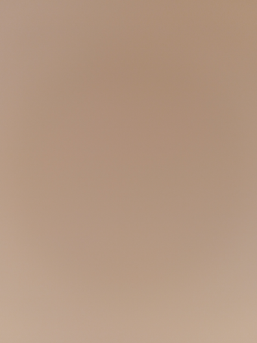 temp.png