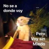 meme.jpg
