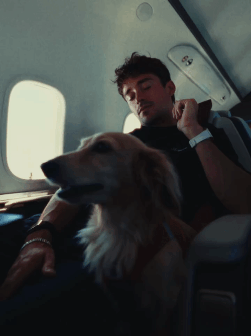 IMG 7859.gif