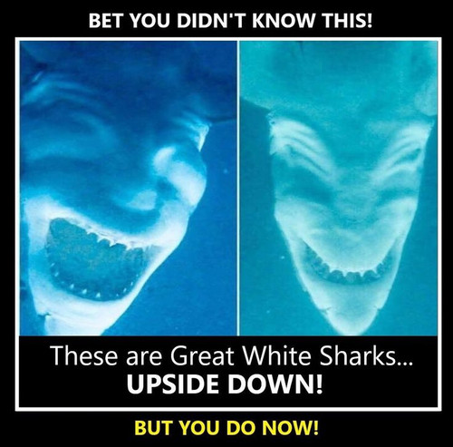 1000000484.jpg