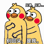 1000021661.gif