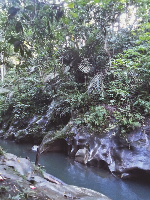 IMG20260705173728.jpg