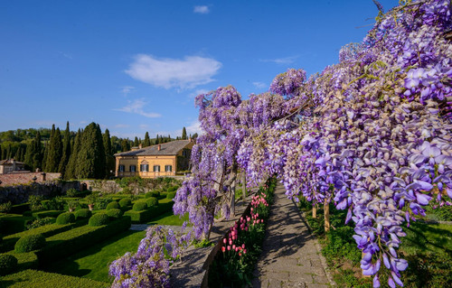 Luxury Wedding Planner in Tuscany for Tailor-Made Celebrations.jpg
