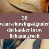 FDS (14)
