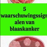 FDS (29)