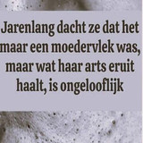 FDS (19)
